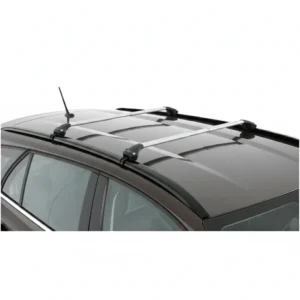 welke-dakdragers-auto